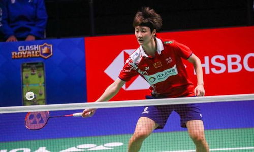 新的高度 新的高度